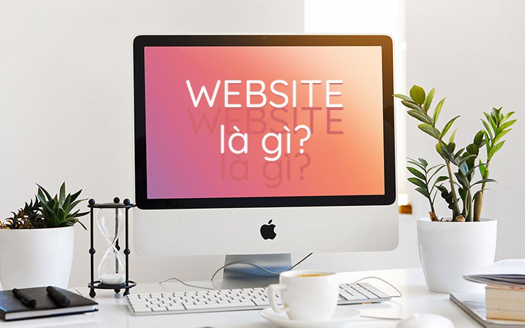 Website nghĩa là gì? Cấu tạo cơ bản, phân loại và giao diện hoạt động
